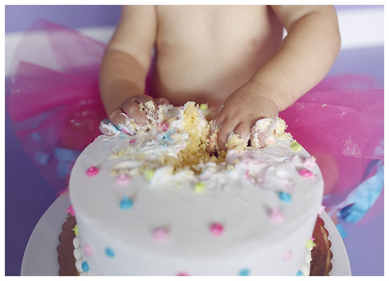 Hingham Cake Smash Photographer