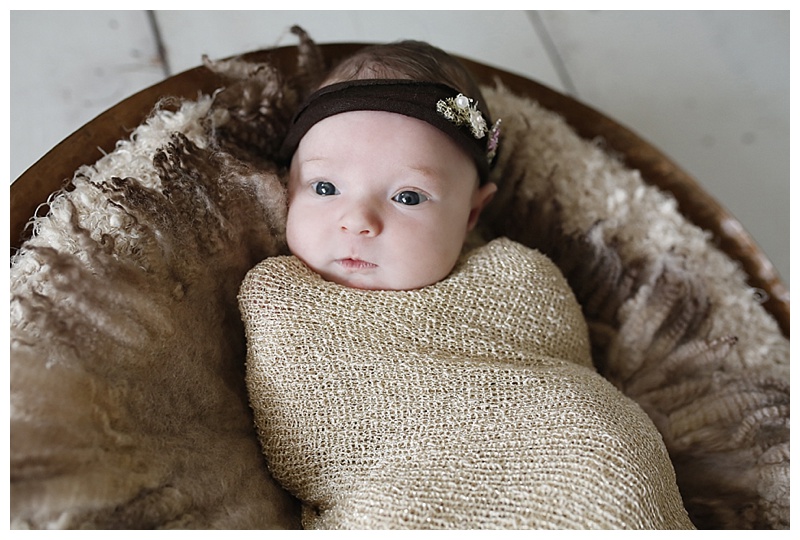 Watertown MA Newborn Photographer