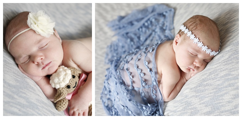 Mansfield MA Newborn Photographer