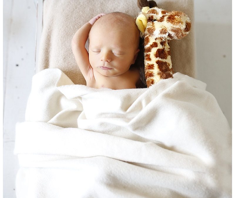 Southern MA Newborn Photographer | Joshua