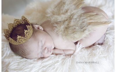 North Attleboro Newborn Photographer | Denery