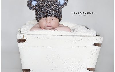 Norton MA Newborn Photographer | Baby Andrew