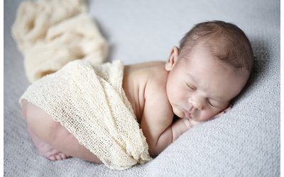 South Boston Newborn Photographer | Evan