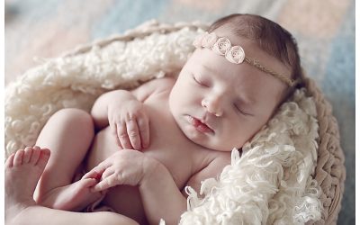 watertown newborn photographer | Nora