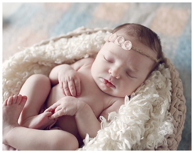 watertown newborn photographer | Nora