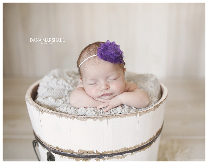 bridgewater MA Newborn Baby Photographer