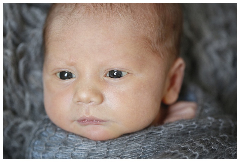 Dedham Family Photographer
