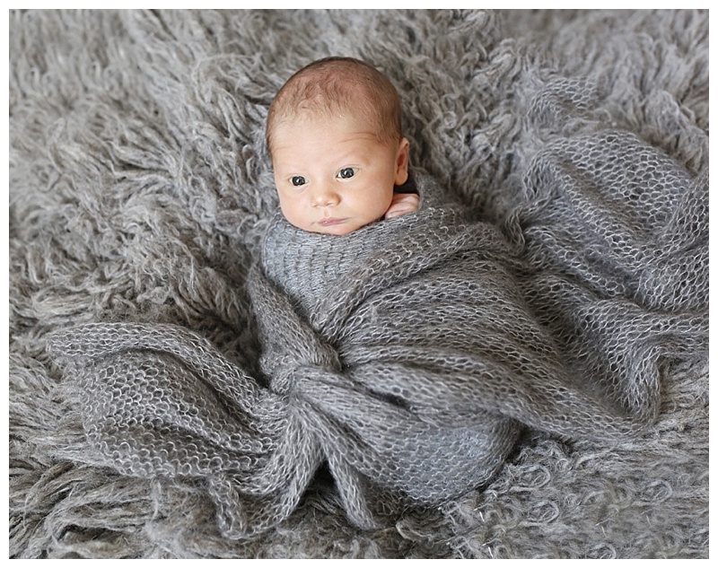 Dedham Family Photographer