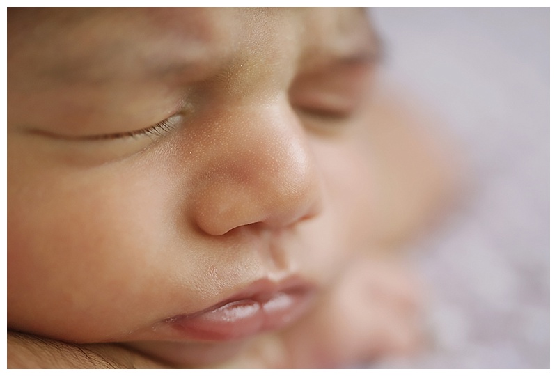 Wrentham MA Newborn Photographer