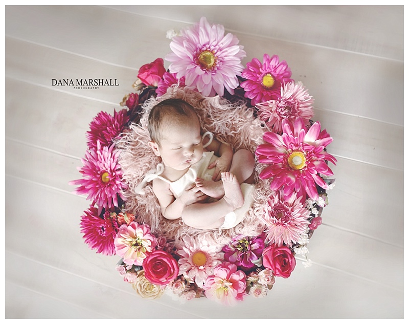 Abington MA Newborn Photographer