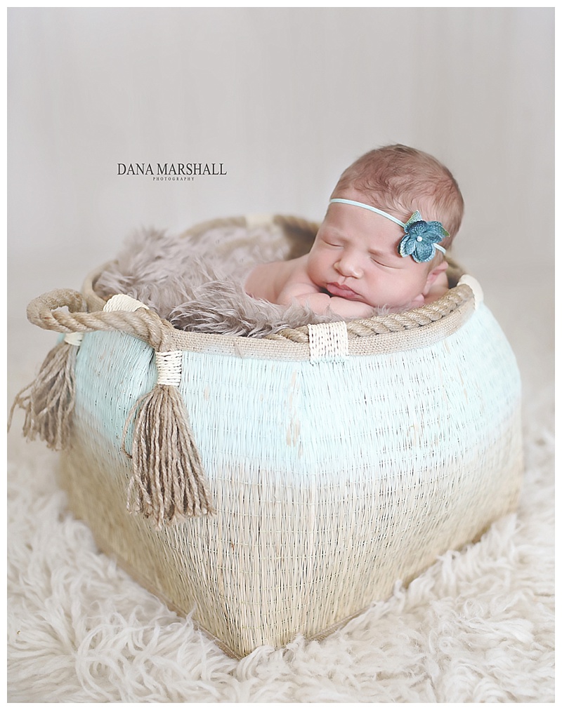 Walpole Newborn Photographer