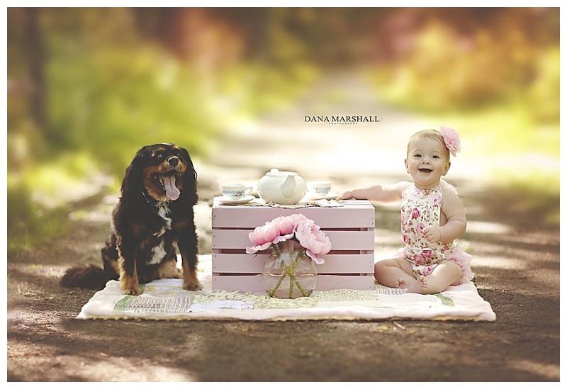 Bridgwater MA Child Photographer