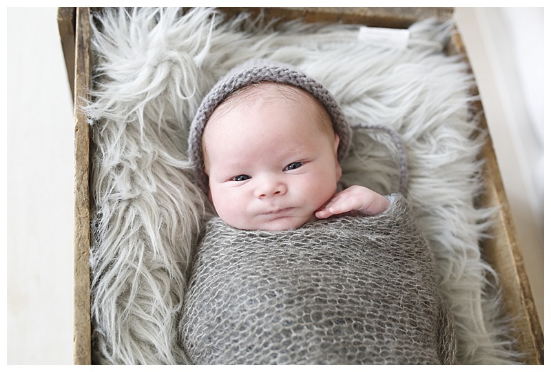 South Boston Newborn Photographer