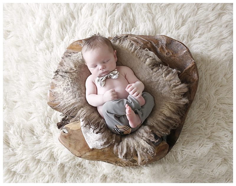 South Boston Newborn Photographer