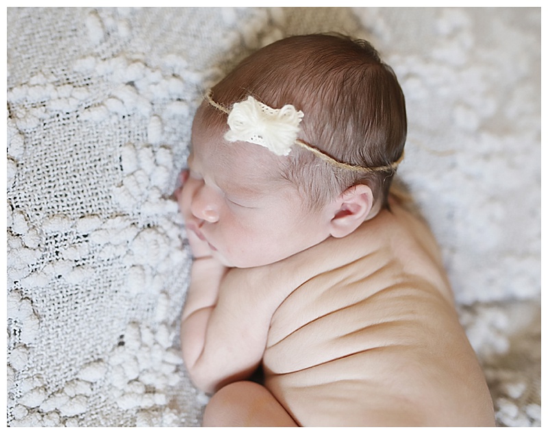 Andover MA Newborn Photographer