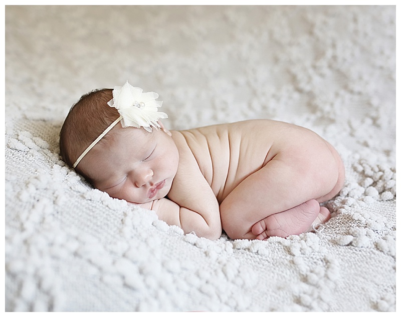 Andover MA Newborn Photographer