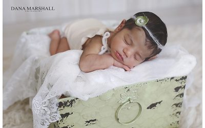 Wrentham Ma Newborn Photographer | Baby Emma
