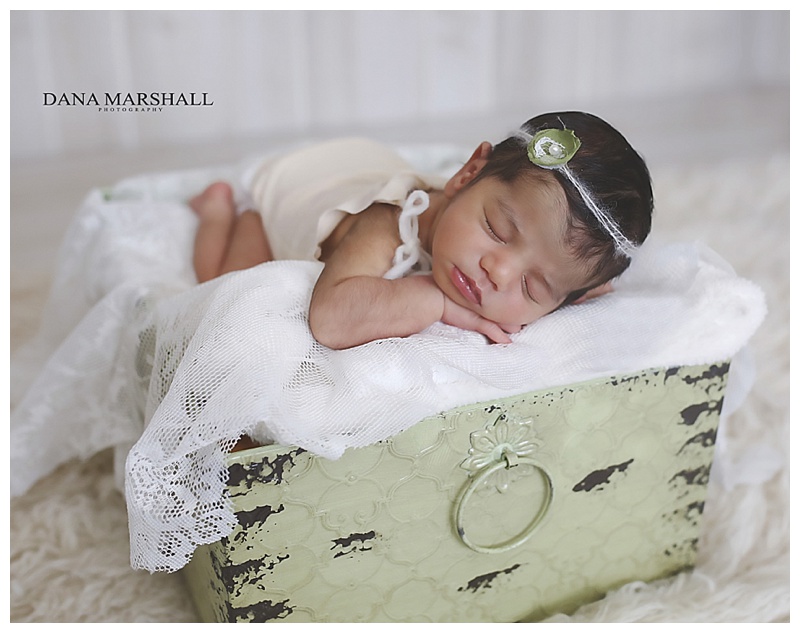 Wrentham Ma Newborn Photographer | Baby Emma