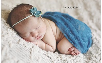 Andover MA Newborn Photographer