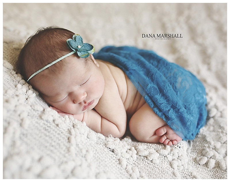 Andover MA Newborn Photographer
