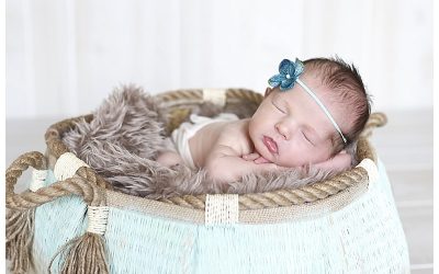 Abington MA Newborn Photographer