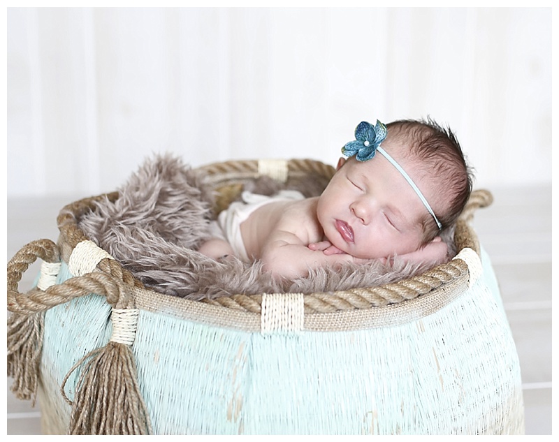 Abington MA Newborn Photographer