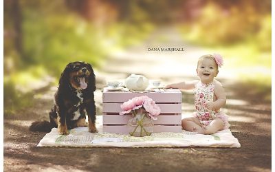 Bridgewater MA Child Photographer | Maddie 6 months