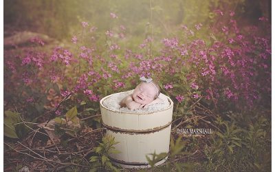 Stoneham MA Newborn Photographer