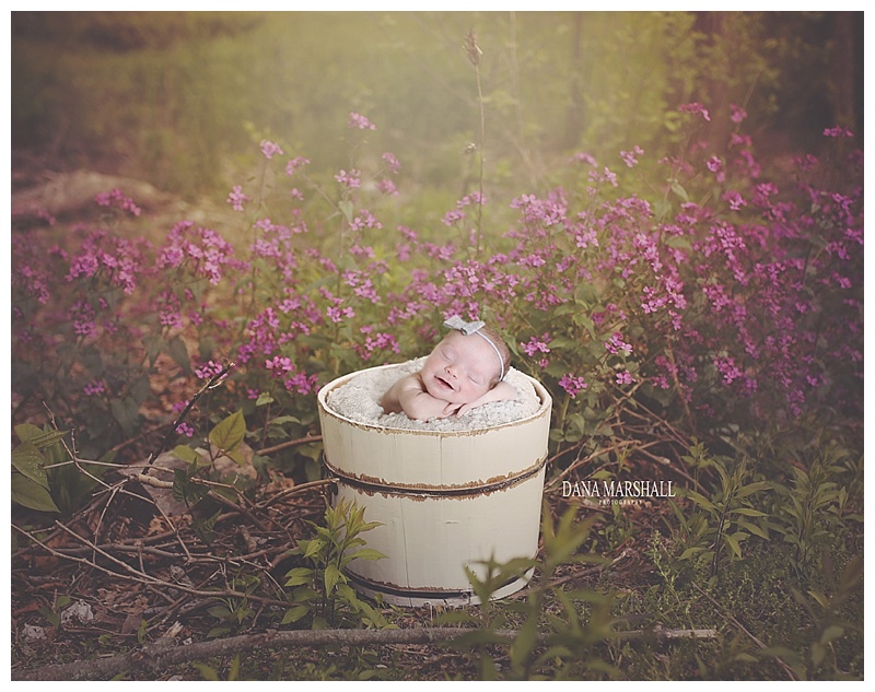 Stoneham MA Newborn Photographer