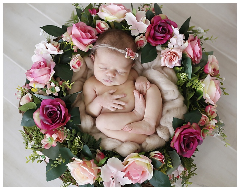 Boston Baby Photographer