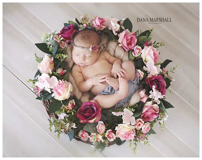 natick newborn photographer