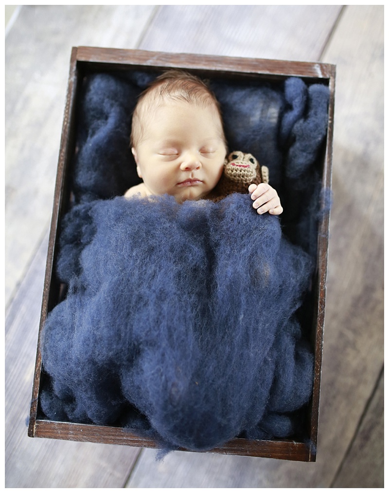 Foxboro MA Newborn Photographer