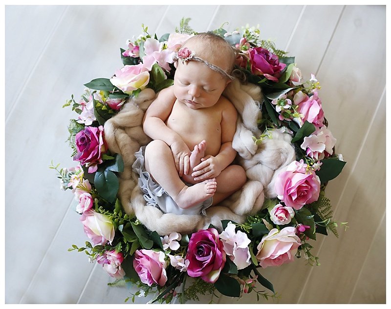 Hanover MA Newborn Photographer