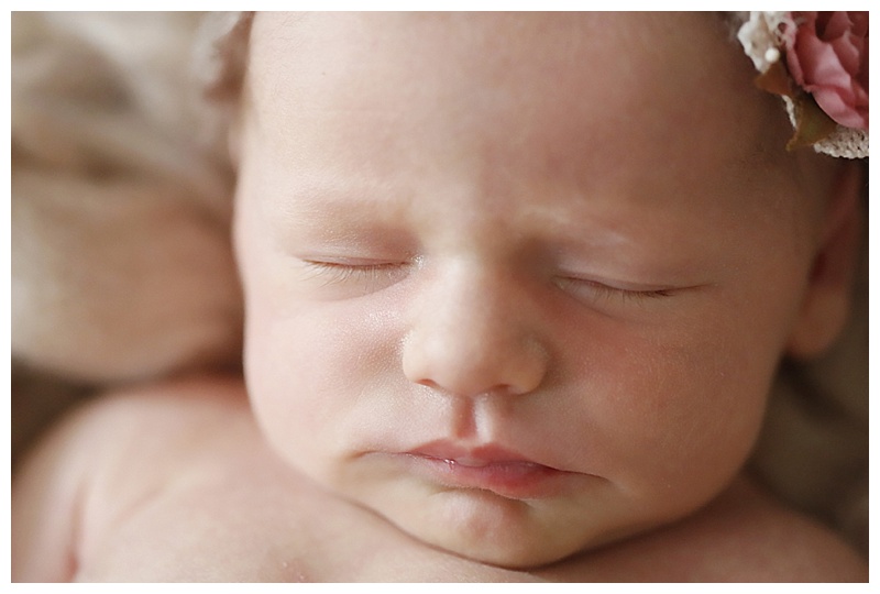 Marshfield MA Newborn Photographer