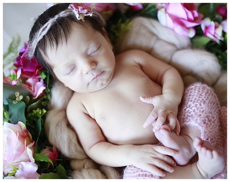 Brockton MA Newborn Photographer