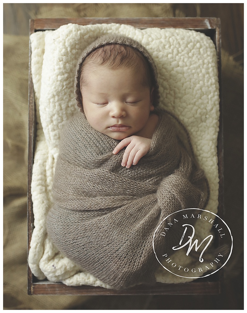 Norfolk MA Newborn Photographer