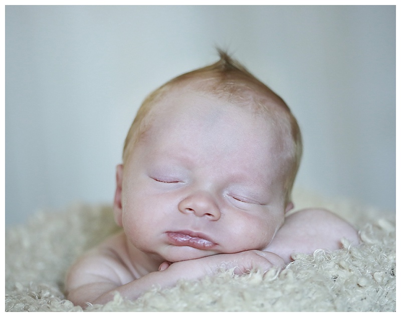 easton MA Newborn Photographer