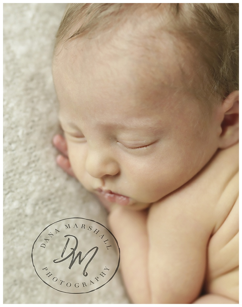 foxborough Ma Baby Photographer