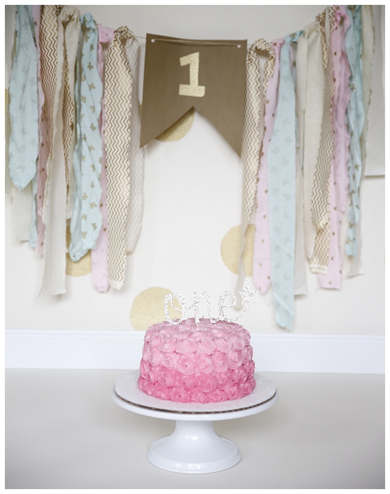 Canton Cake Smash photographer
