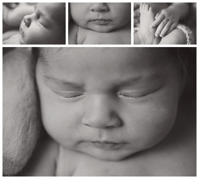 Bridgewater MA Newborn Photographer