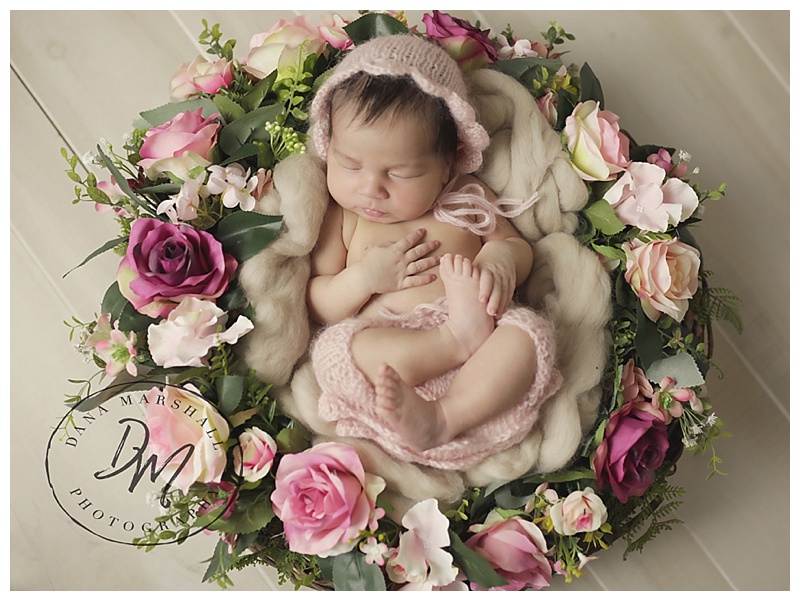 Bridgewater MA baby Photographer