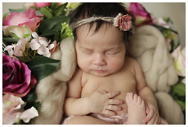 Boston MA Newborn Photographer