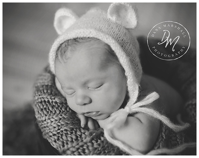 Cambridge MA Newborn Photographer