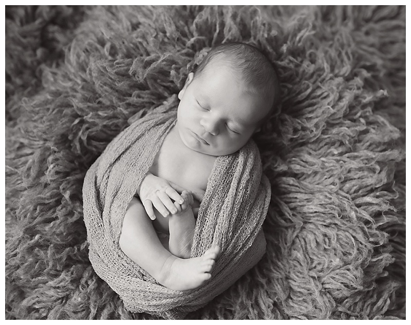 Cambridge MA Newborn Photographer
