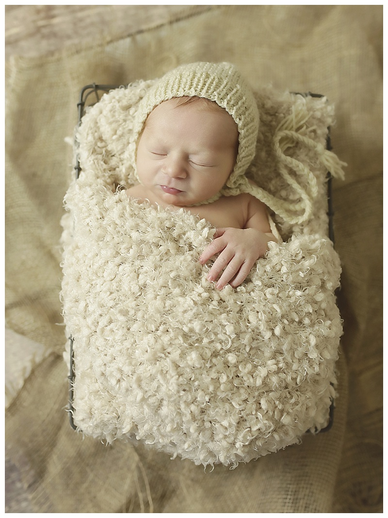 North Andover MA Newborn Photographer