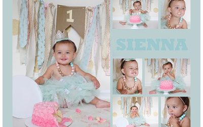 Canton MA Cake Smash Photographer