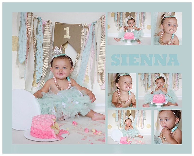 Canton MA Cake Smash Photographer