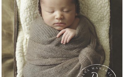 Norfolk MA Newborn Photographer |Bennett