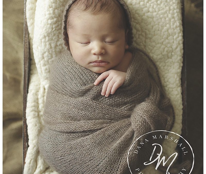 Norfolk MA Newborn Photographer |Bennett