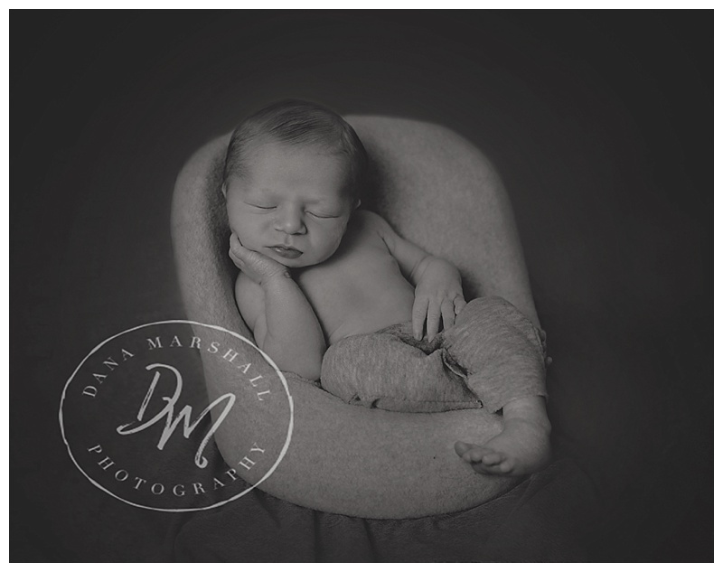 North Andover MA Newborn Photographer